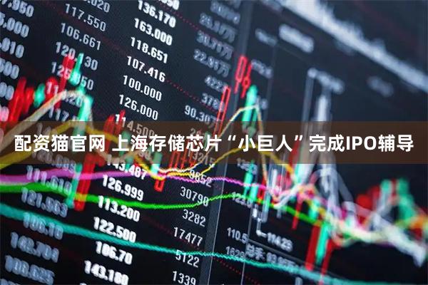 配资猫官网 上海存储芯片“小巨人”完成IPO辅导